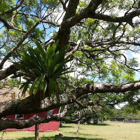 Aldeia Santuario Das Aves Tavares Номер фото
