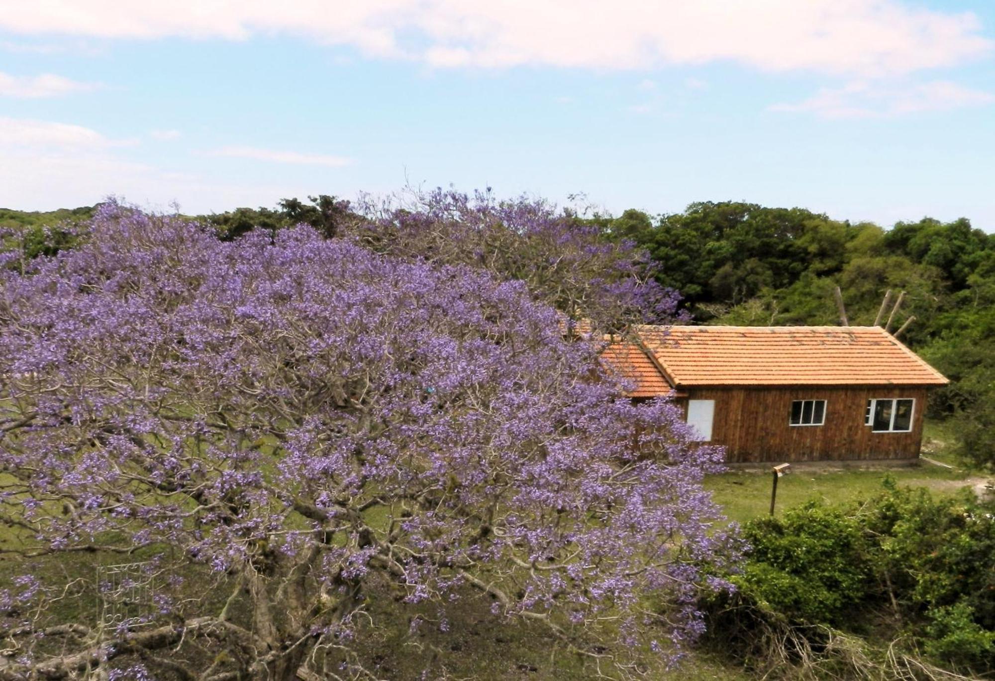 Aldeia Santuario Das Aves Tavares Номер фото