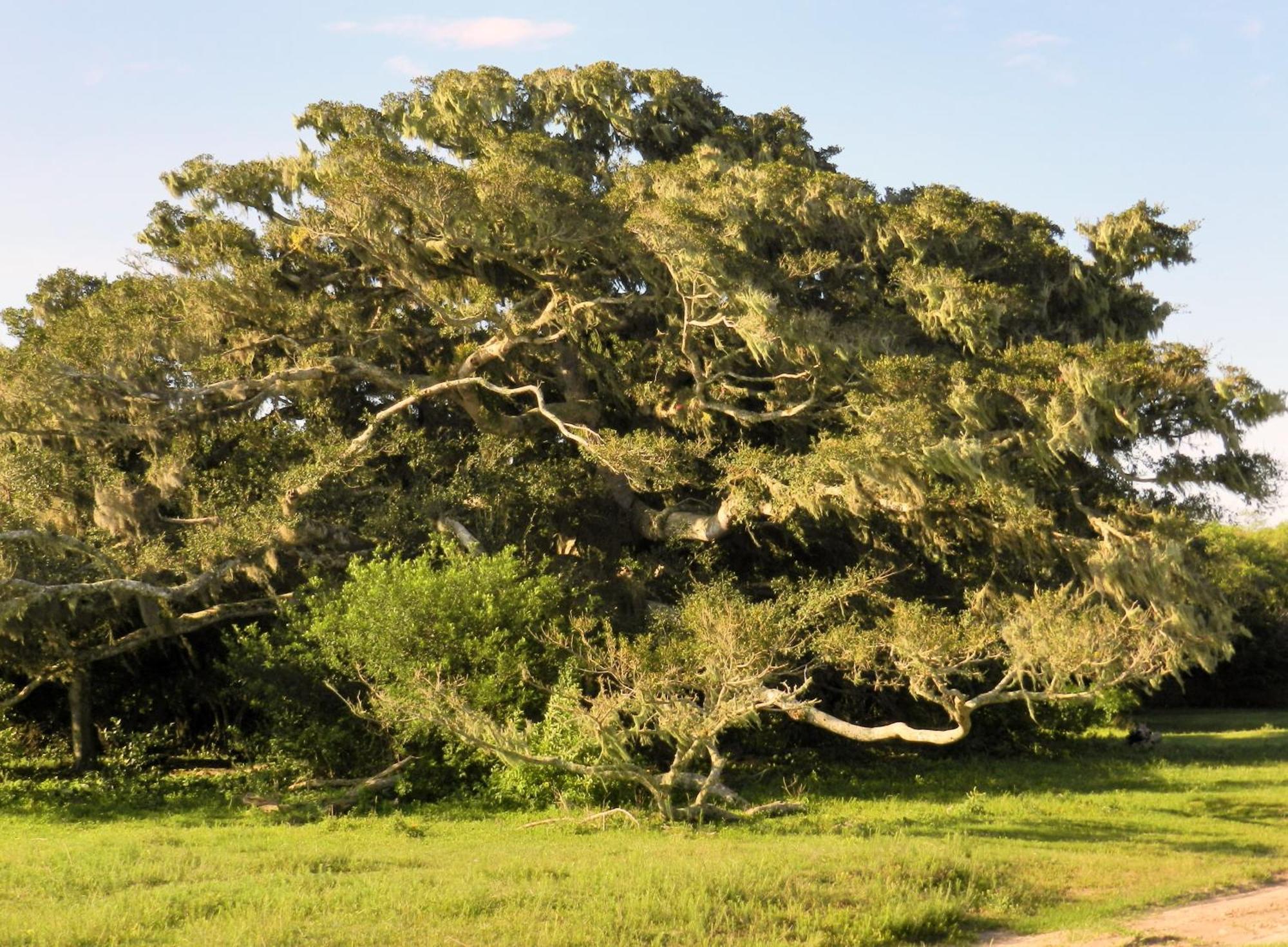 Aldeia Santuario Das Aves Tavares Номер фото
