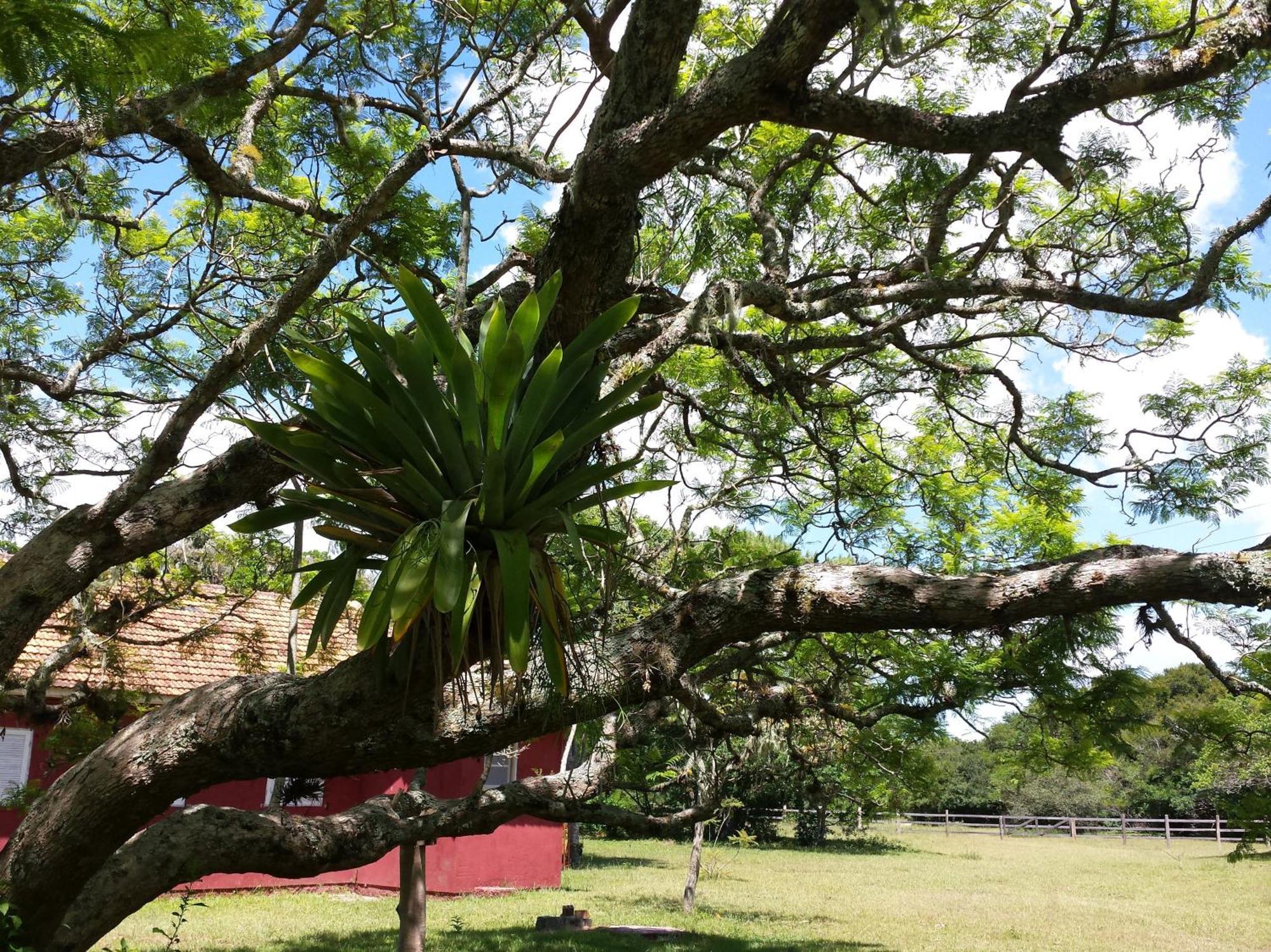 Aldeia Santuario Das Aves Tavares Номер фото