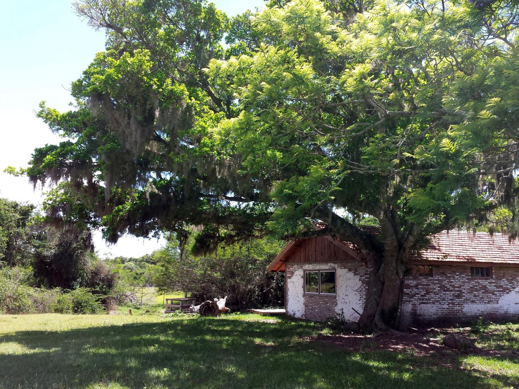 Aldeia Santuario Das Aves Tavares Номер фото