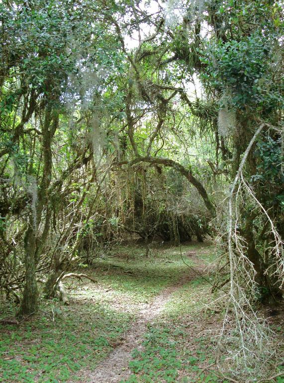 Aldeia Santuario Das Aves Tavares Екстер'єр фото