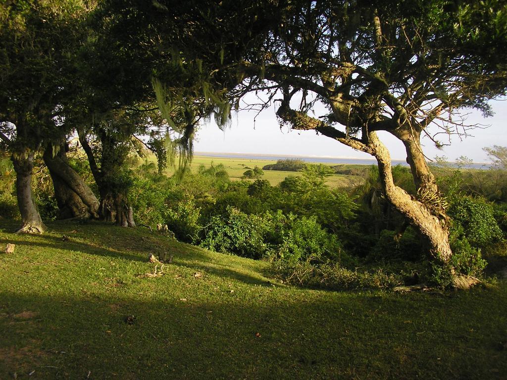 Aldeia Santuario Das Aves Tavares Екстер'єр фото